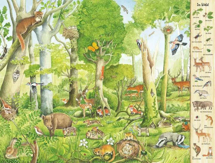 Immagine prodotto Das Riesen-Natur-Wimmelbuch (Tedesco, Christine Henkel, 2018)