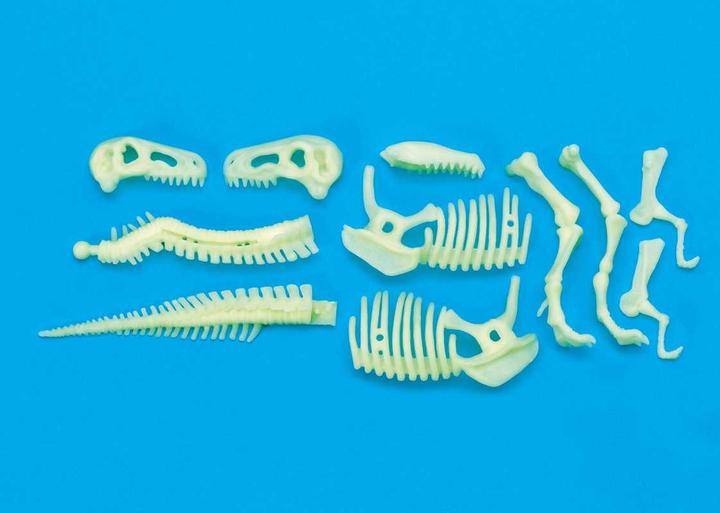 Actual product image Brainstorm T-Rex Skeleton Glow in the Dark