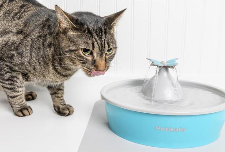 Immagine prodotto PetSafe Fontana per animali domestici Drinkwell® Butterfly (1.50 l)