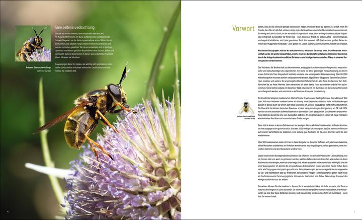 Produktbild Mein Artenretter Garten (Deutsch, Anja Eder, 2024)