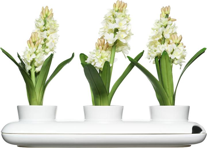 Sagaform Trio herb pot (13 cm)