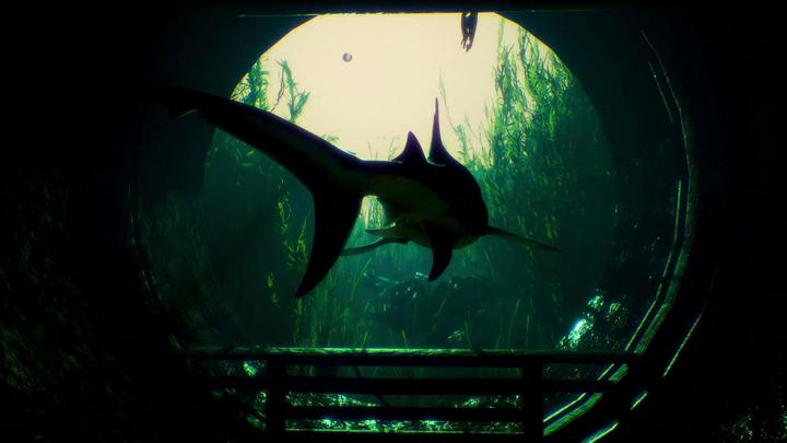 Image du produit Deep Silver Maneater (Xbox One X, Xbox Series X, FR)