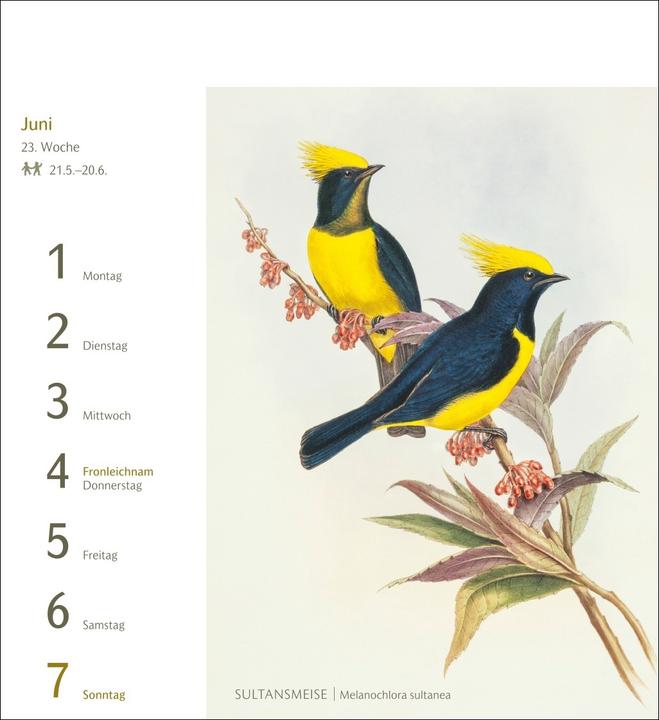 Produktbild Harenberg Vögel Postkartenkalender 2026 - Postkartenkalender mit 53 historischen Zeichnungen (Harter Einband, Deutsch)