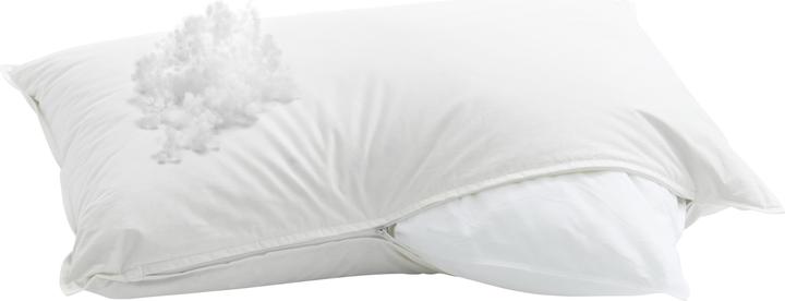 Immagine prodotto Billerbeck Casa Fibre (50 x 70 cm)