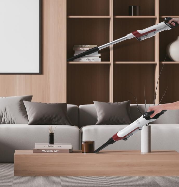 Immagine prodotto Hoover HF202H 011 - HF2 Home 2 Batterie