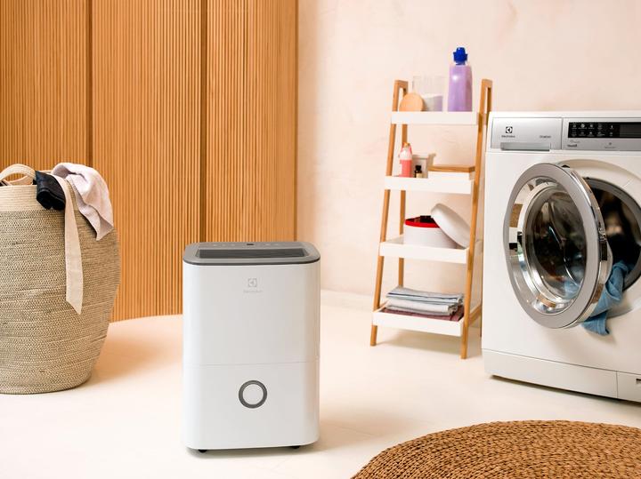 Immagine prodotto Electrolux Ambiflex Green (52 m², 20 l/24h)