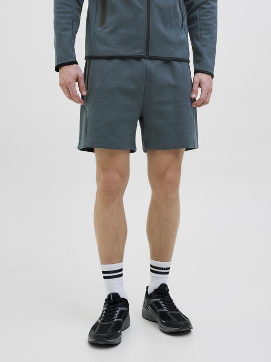 Produktbild Jack & Jones Regular Fit Regular Fit Shorts Regular Fit Shorts (L)