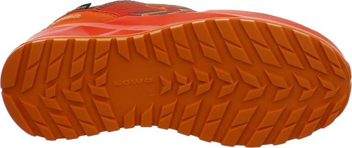 Image du produit Lowa Ferrox GTX LO (26)