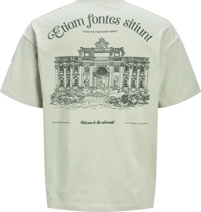 Actual product image Jack & Jones Printed round neck T-shirt T-shirt (L)