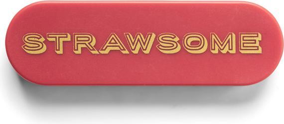 Produktbild Designworks Strawsome Terra Cota Portable Straw (1 x)