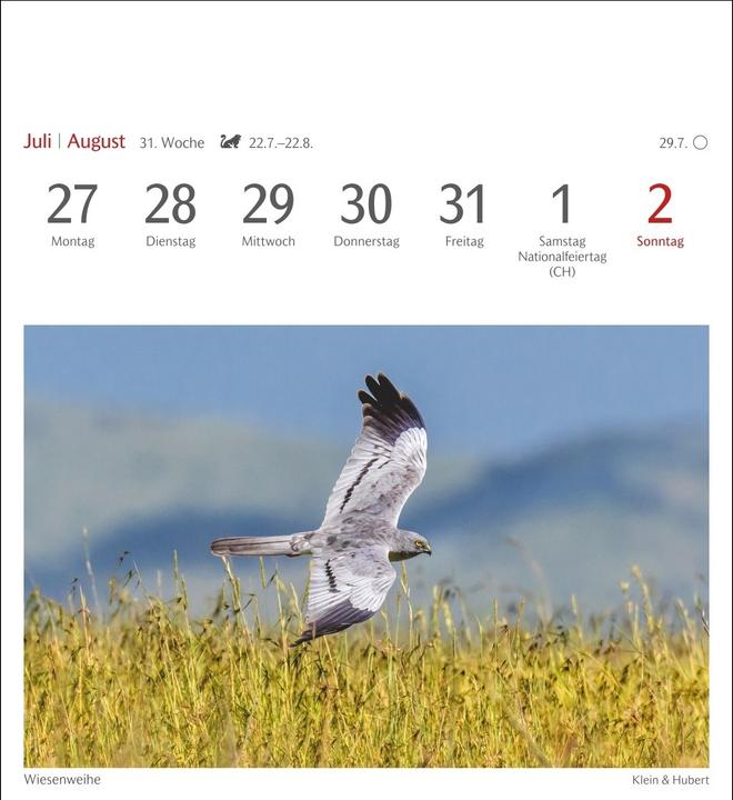 Produktbild Harenberg Heimische Vögel Postkartenkalender 2026 - Wochenkalender mit 53 Postkarten (Deutsch)