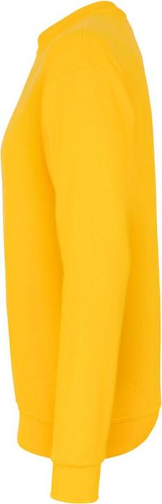 Image du produit Hakro Sweat-shirt homme PERFORMANCE soleil taille S (S)