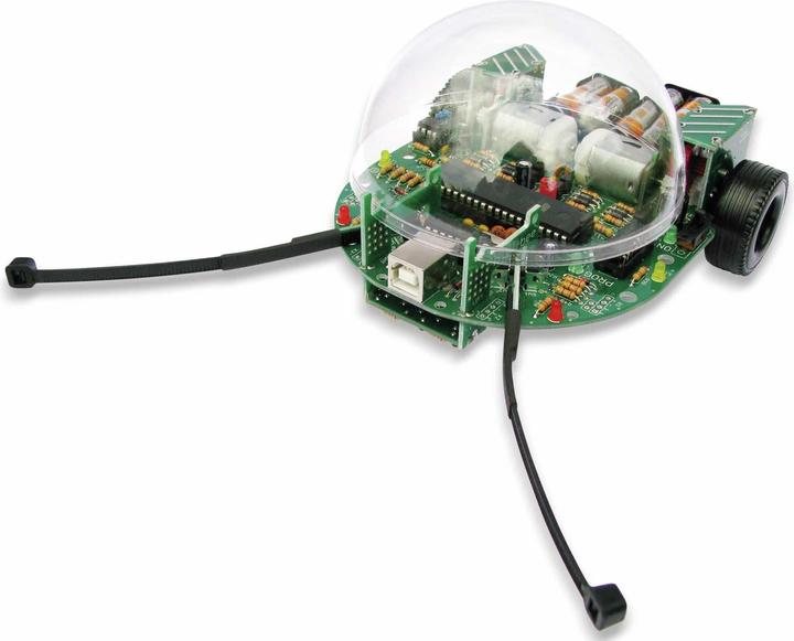Immagine prodotto Nicai Systems NIBObee