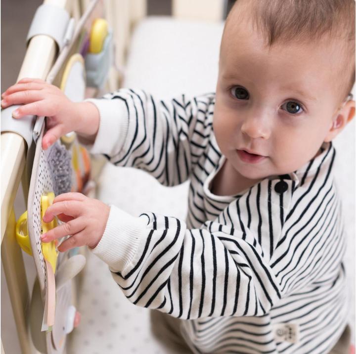 Image du produit Taf Toys Centre dactivits