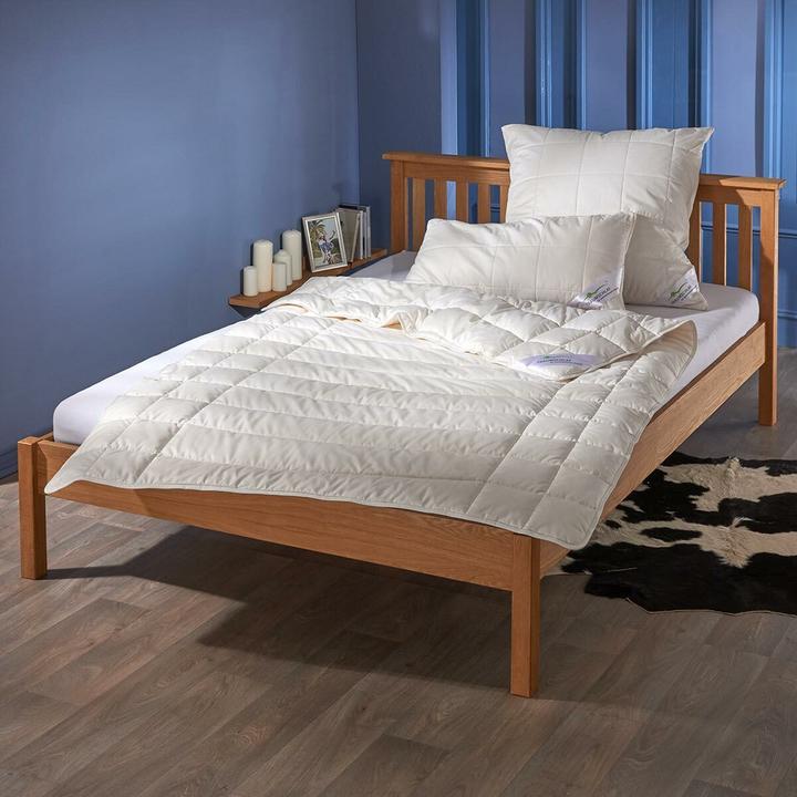 Image du produit Traumschlaf Baumwolle leicht (800 g, 160 x 210 cm)