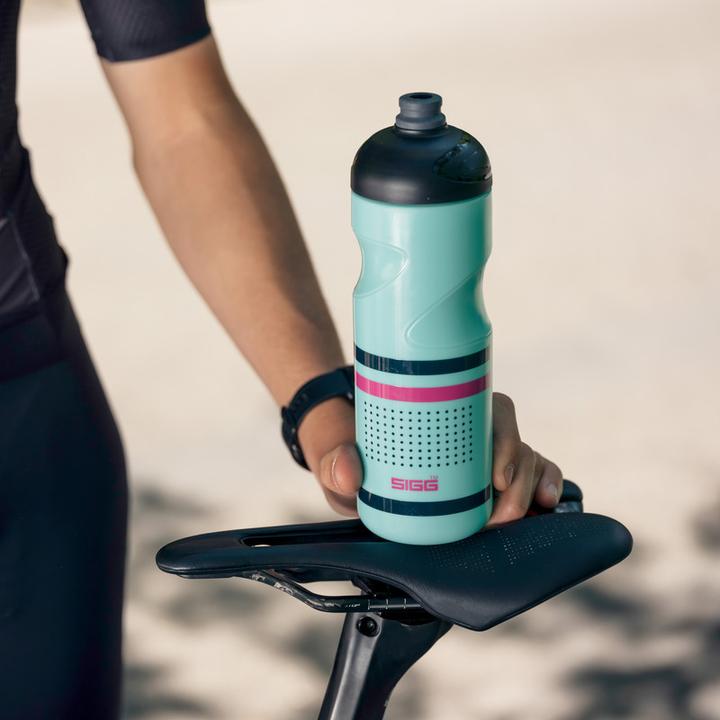 Actual product image Sigg Pulsar (0.75 l)