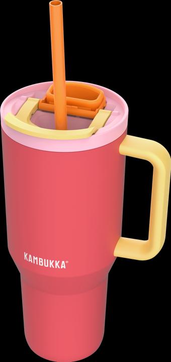 Actual product image Kambukka Rio (0.95 l)