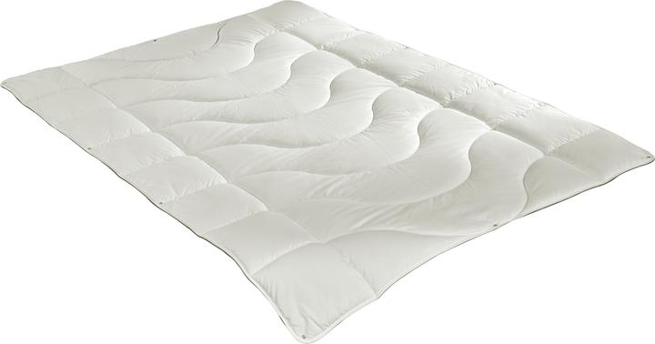 Actual product image Irisette Greenline Greenline Cyclafill ECO 4-seasons (1350 g, 160 x 210 cm)