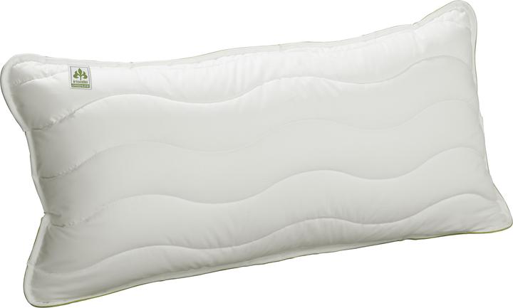 Image du produit Irisette Greenline Aerelle Blue (65 x 65 cm)