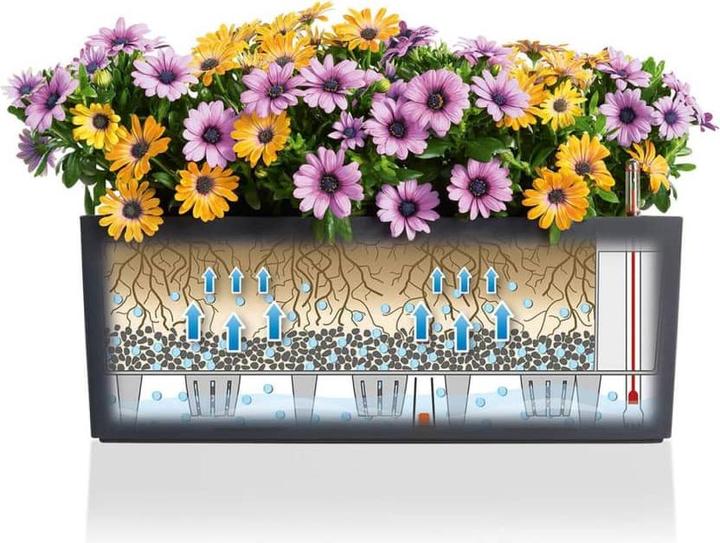 Actual product image Lechuza Balconera Cottage (19 cm)