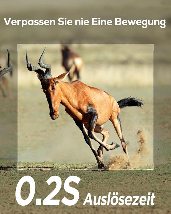 Produktbild iZeeker Wildkamera mit Bewegungsmelder und Nachtsicht