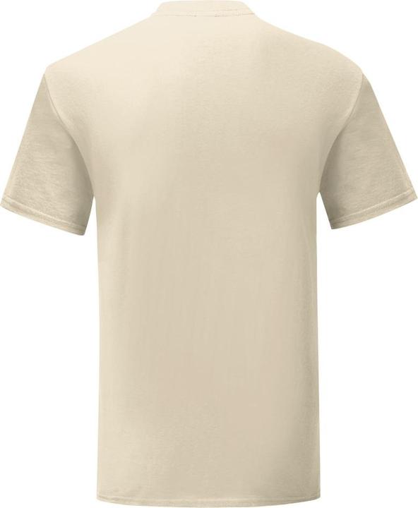 Actual product image Fruit of the Loom Mens Iconic T-Shirt (M)