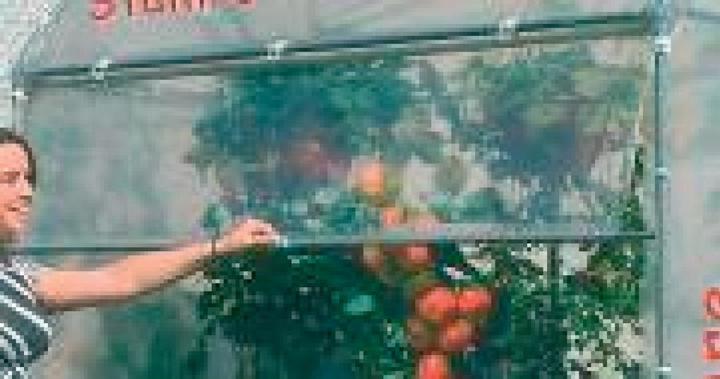 Image du produit Neogard Store pour abri à tomates
