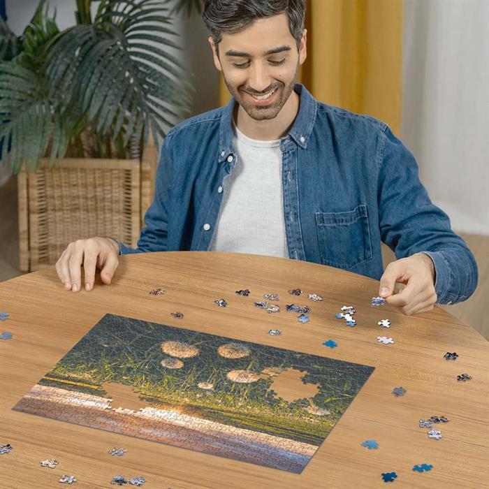 Actual product image Ravensburger Dandelions in the sunset (500 pieces)