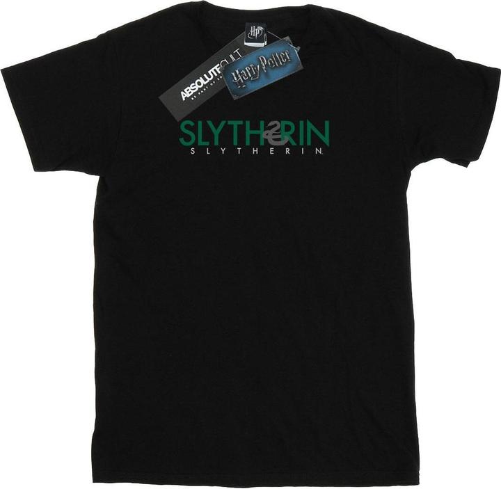 Produktbild Slytherin Text TShirt (XXL)