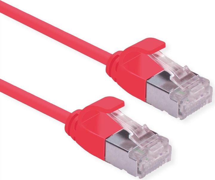 Rot