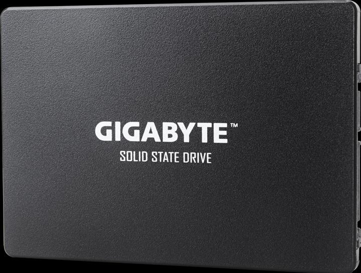 Immagine prodotto Gigabyte GP-GSTFS31256GTND (256 GB, 2.5")
