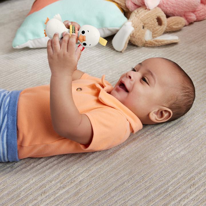 Produktbild Fisher-Price HRB22