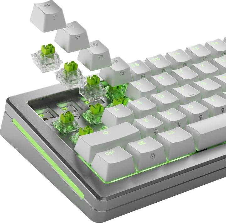 Actual product image Glorious HE Switches (36pcs) - Raptor - Lubed - (Clicky) 55g