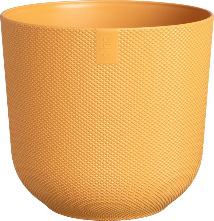 Jaune ambre