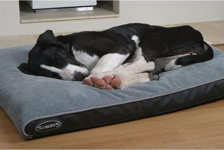 Produktbild Scruffs Cortney (Hund)