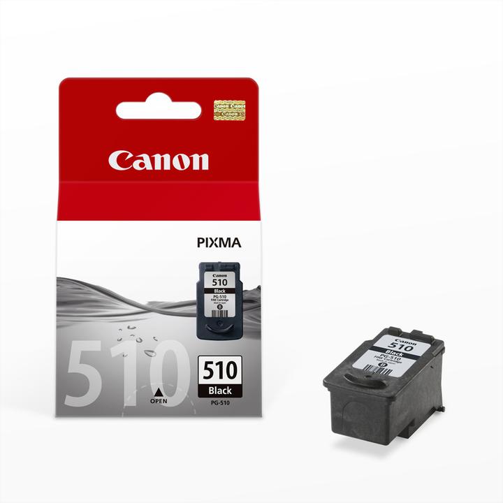 Actual product image Canon Pg-510 (FC)