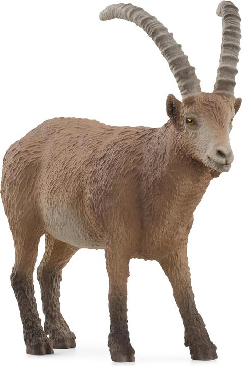 Produktbild Schleich Steinbock