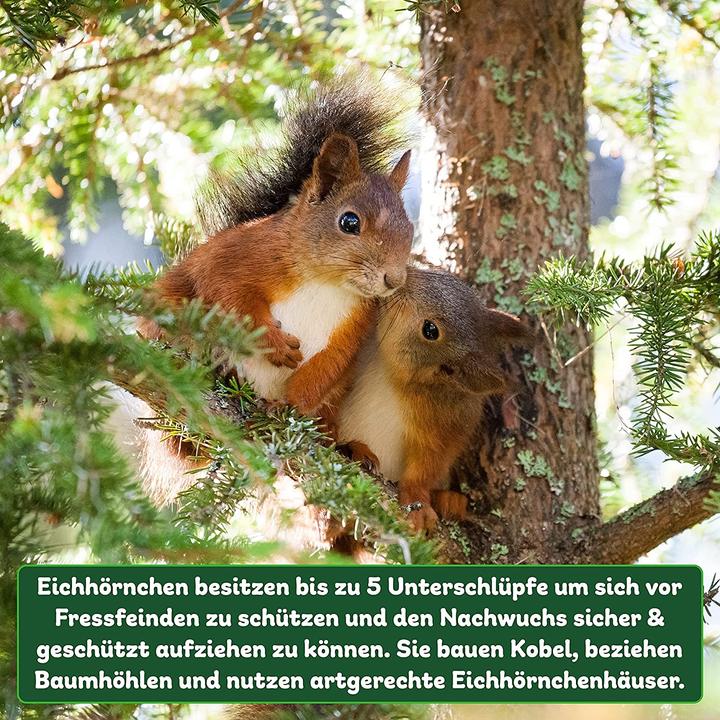 Actual product image Erdenfreund Squirrel tennis house