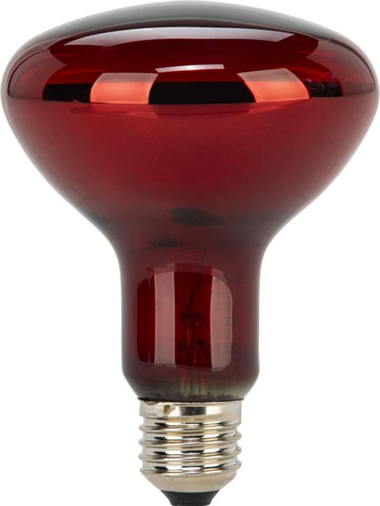 Productafbeelding Beurer Vervangingsspot IL 11 (100 W)