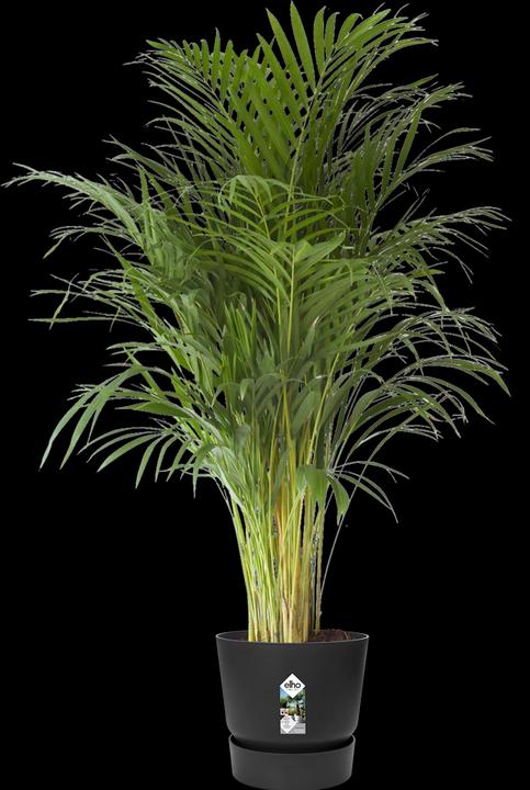 Produktbild Elho Greenville (39 cm)