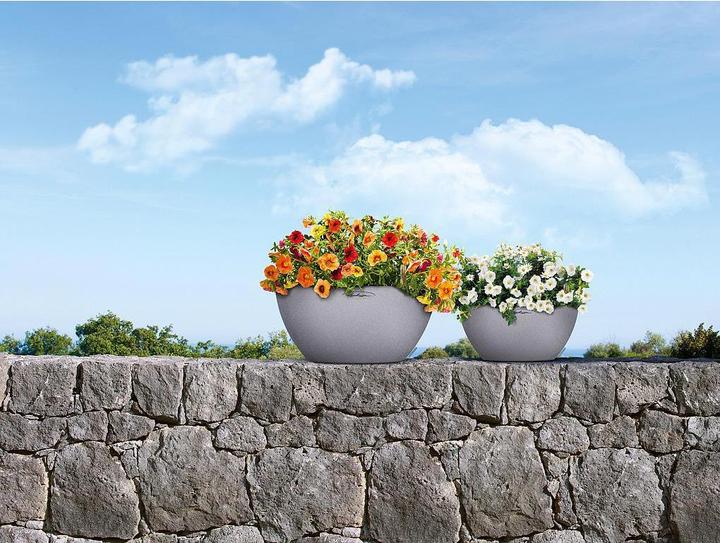 Immagine prodotto Lechuza Cubeto Colore (30 cm)