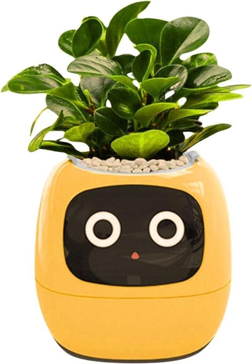 Image du produit Hermex Pot de fleurs électronique Pot de fleurs intelligent (11 cm)