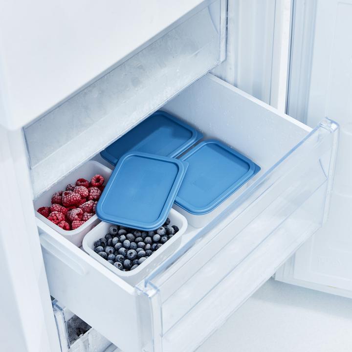 Actual product image Rotho Gefrierdosen Set (0.50 l)