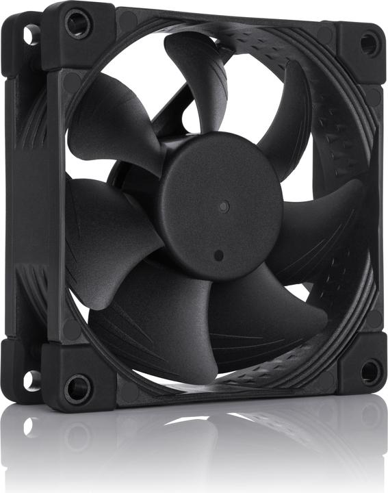 Image du produit Noctua Ventilateur PC NF-A8 PWM chromax (80 mm, 1 x)