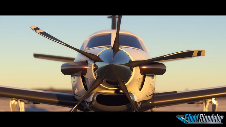 Actual product image Microsoft Flight Simulator Standard Edition (Xbox Series X, DE)