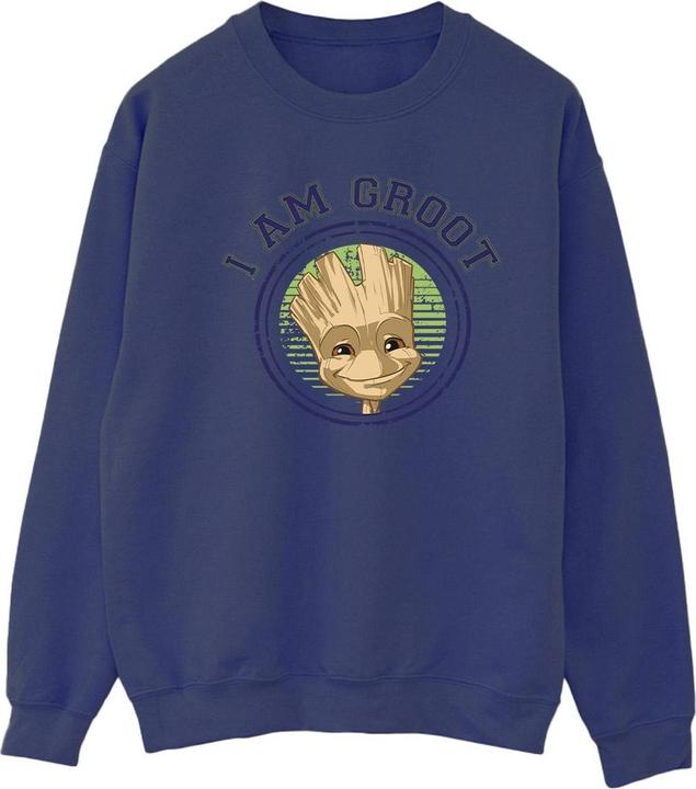 Produktbild Guardians of the Galaxy Groot Varsity Sweatshirt (M)