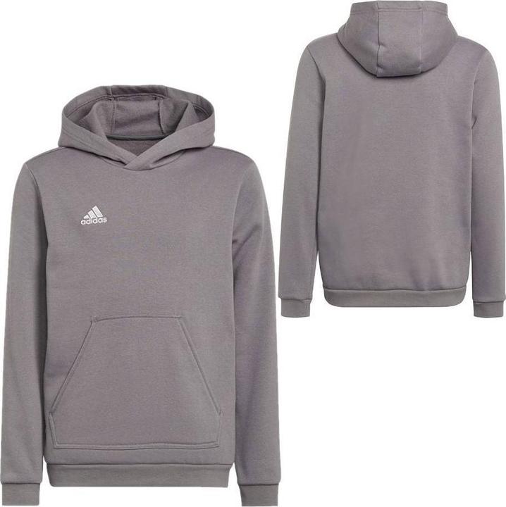 Actual product image adidas Entrada 22 hoodie kids (164)