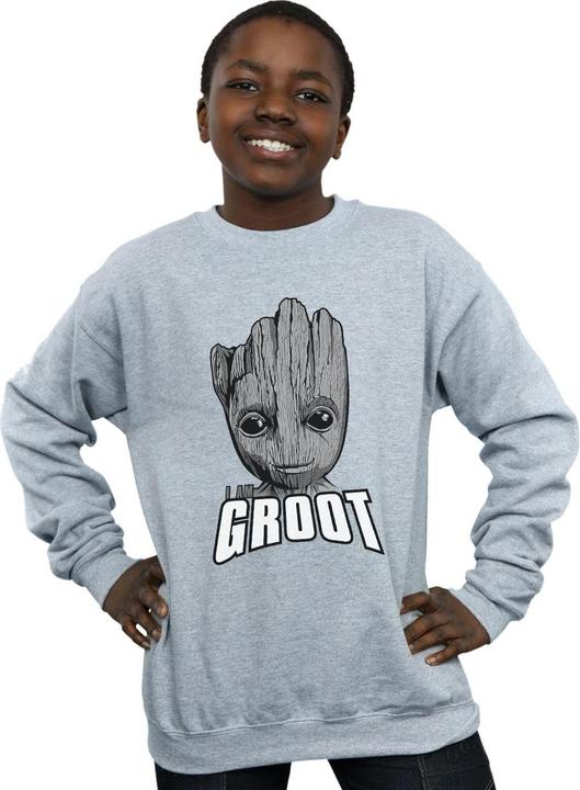 Produktbild Guardians Of The Galaxy Groot Face Sweatshirt Jungen (116)