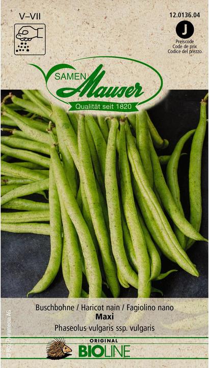 Image du produit Samen Mauser Haricot nain BIO Maxi (Germes)