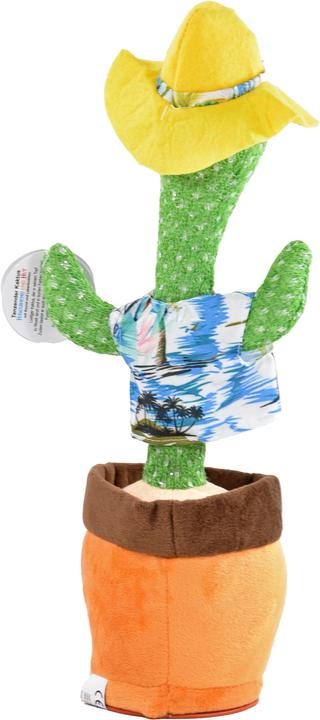 Actual product image Kögler Dancing cactus (34 cm)